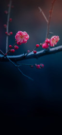 暖春