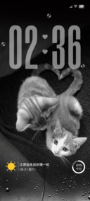 治愈小猫 我在想你