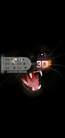 3D视觉黑猫