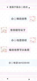 我拍了拍小猫的爪