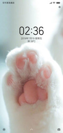 萌萌猫