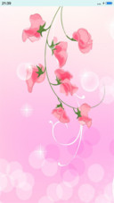 一朵花开