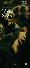 FlorBrilhante
