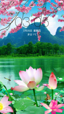 唯美荷花
