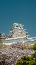Jilu Castle and Blooming Cherry Blossoms in Jilu City