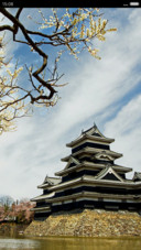 古风情（多动态、3d重力）