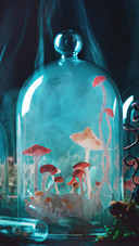 Halloween mushrooms