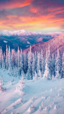 Scenery（30）
