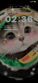 萌宠驾到 汉堡小猫