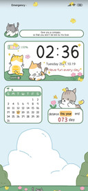 Cat Daily