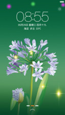 雨天鲜花开【动态锁屏】