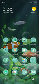 Lucky aquarium