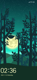 Quiet forest