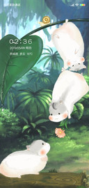 丛林小仓仓X