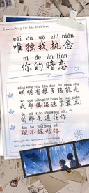唯独我执念你的暗恋