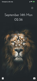 WILD CAT