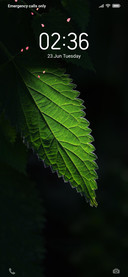 Dark green