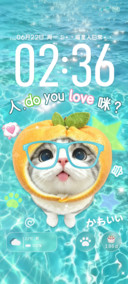 清凉夏日水波纹小猫