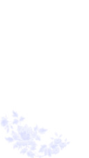 青花瓷