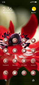 Anemone