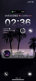 Ins浪漫椰林剪影