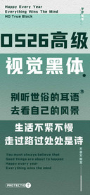 OS26高级视觉黑体