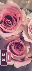 Rose Velvet
