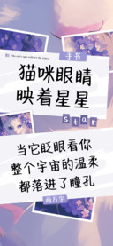 猫咪眼睛映着星星