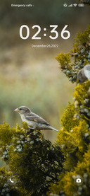 Green tree bird