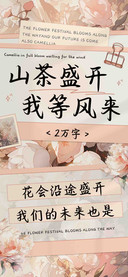 山茶盛开我等风来