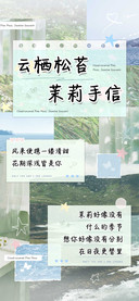 云栖松苔茉莉手信