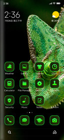 wild chameleon