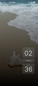 Sandy Shell