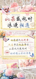 山茶盛放时浪漫相遇