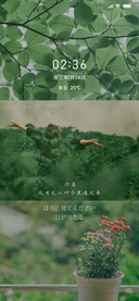 释放