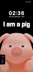 i am a pig