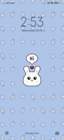 Cute Bunny