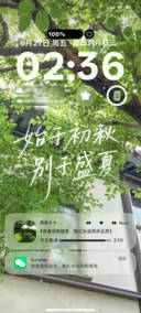 风景手写字自由如风
