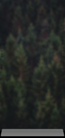 OsX