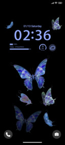 Blue Butterfly