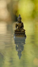 buddha best background ever