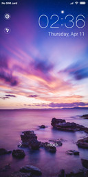 Silent sky