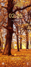 Autumn woods