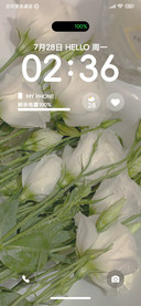 ins清新花