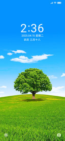 一棵树的风景