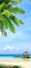 Beautiful scenery-PAIXIN