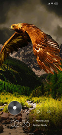 Wildlife two