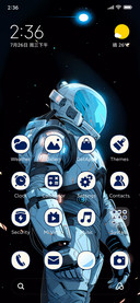 spaceflight