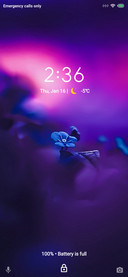 Purpguardi V11