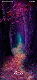 YoS Purple NY